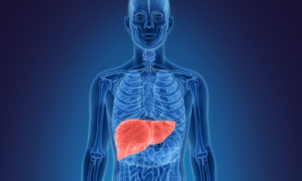 Illustration of a human figure with the liver highlighted